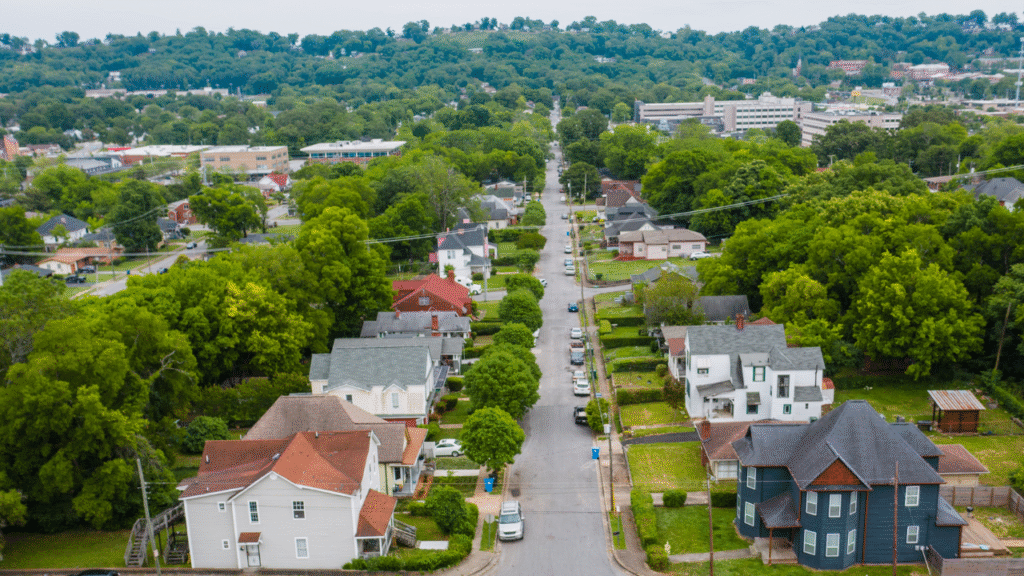 diseño sin título 2025 11 09t135519.028