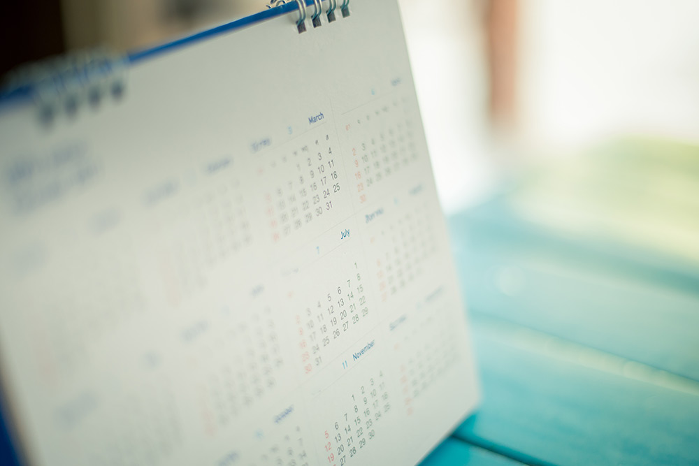 professional cleaning services