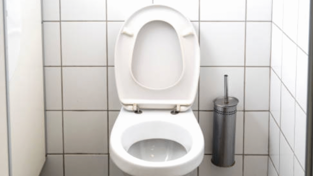 diseño sin título 2026 02 07t143647.380